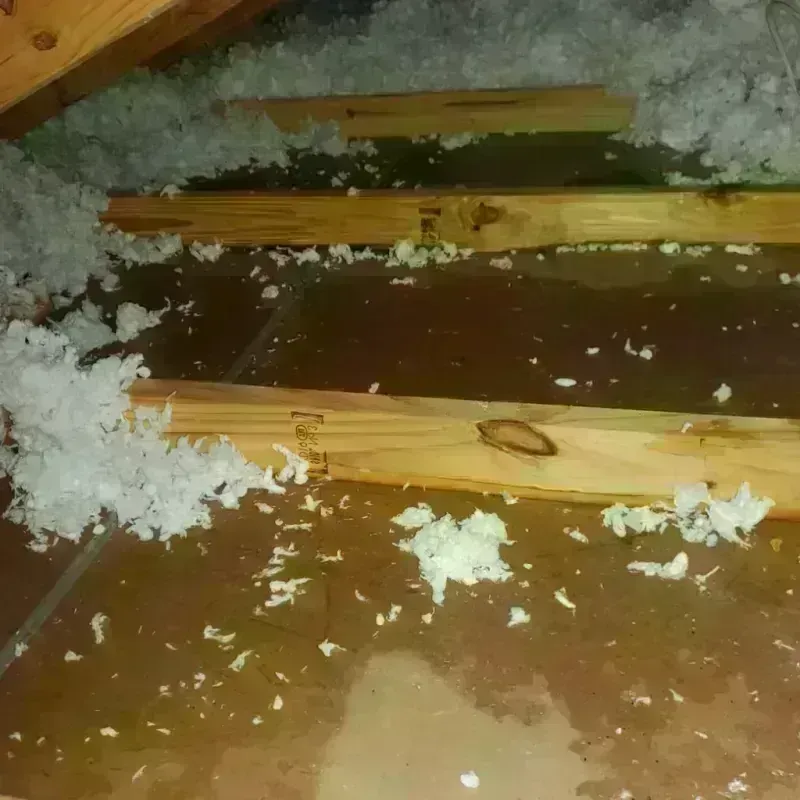 Attic Water Damage in Garrison, ND