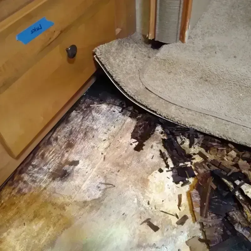 Wood Floor Water Damage in Garrison, ND